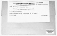 Image Associated With the Occurence